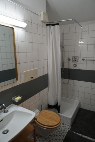e bagno con servizi igienici, lavandino e doccia. di L'Echappée -B&B- a Sion