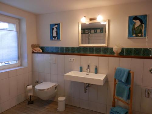 a bathroom with a toilet and a sink and a mirror at Apartment Amylee in Strehlow