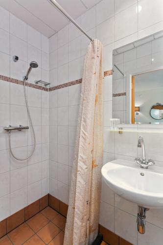 a bathroom with a sink and a shower at B&B Papillon in Oost-Souburg