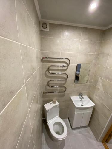 a bathroom with a toilet and a sink at Constancia in Kamianets-Podilskyi
