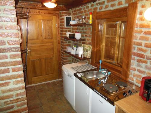 a kitchen with a washer and sink and a brick wall at Cottage Plavi Lav Potok in Potok