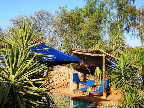 a resort with blue chairs and a swimming pool at Amber Lagoon Backpackers Lodge in Vleirivier