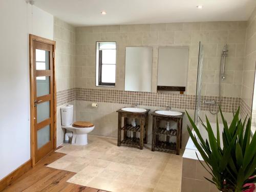 a bathroom with a toilet and a sink and a mirror at Scarborough House - Adults only holiday home in Torquay
