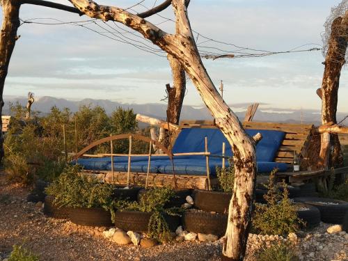 a wooden bench in a garden with a tree at Amber Lagoon Backpackers Lodge in Vleirivier