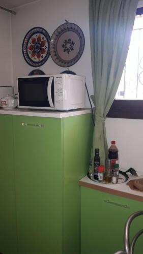 a microwave on top of a green cabinet in a kitchen at Ground floor,Top level in Padova