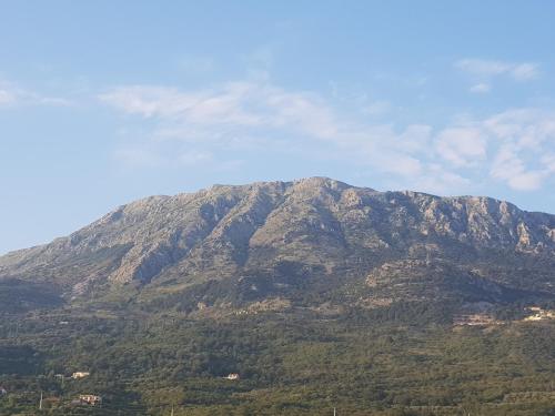 a large mountain with trees in front of it at Monte Liza in Dobra Voda