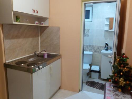 a kitchen with a sink and a toilet and a christmas tree at Guest House Emiliya in Ovchartsi