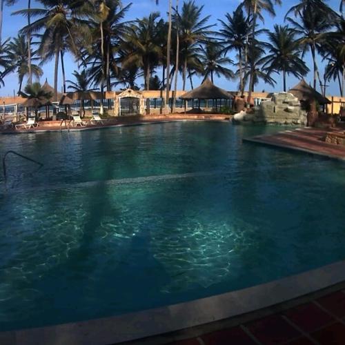 a large swimming pool with palm trees in the background at Costa Grande Tucacas Morrocoy in Tucacas