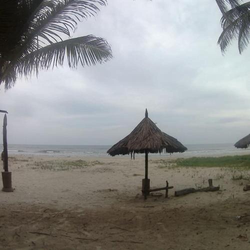 a straw umbrella on a beach with the ocean at Costa Grande Tucacas Morrocoy in Tucacas