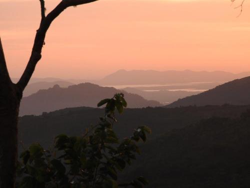 a silhouette of a tree with mountains in the background at Madrugada in Umtali