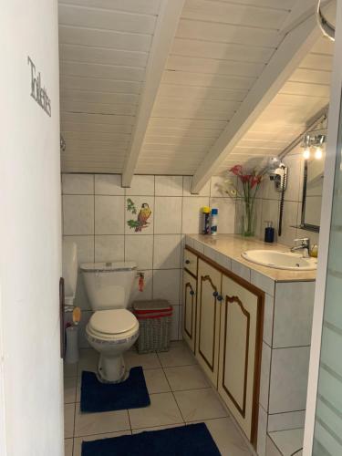 a bathroom with a toilet and a sink at Coco Land in Sainte-Anne