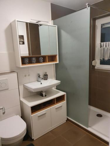 a bathroom with a sink and a toilet and a shower at Viktoria in Friedrichshafen