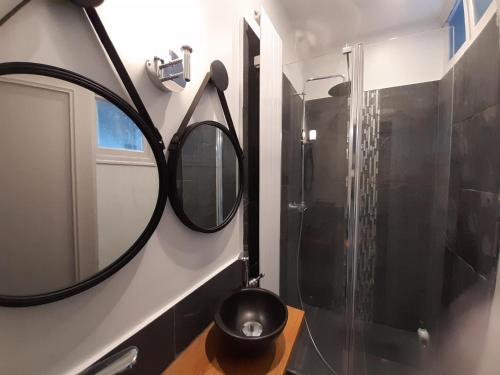 La salle de bains est pourvue d'un miroir et d'une douche. dans l'établissement Gîte dans le parc d'une maison ancienne près des bords de Loire, à Ouzouer-sur-Trézée