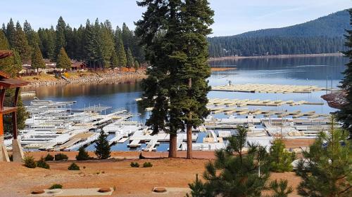 a bunch of boats are docked in a marina at Cedar Ridge Retreat Lake Almanor in Lake Almanor