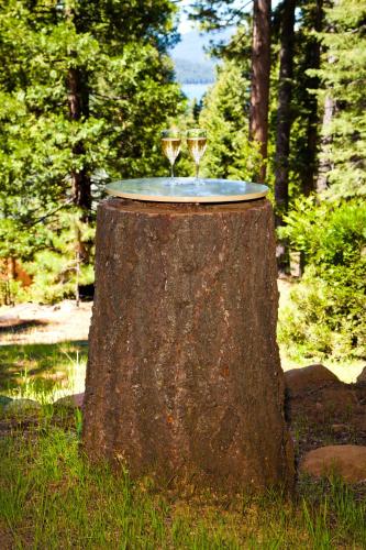 two glasses of wine sitting on top of a tree stump at Cedar Ridge Retreat Lake Almanor in Lake Almanor