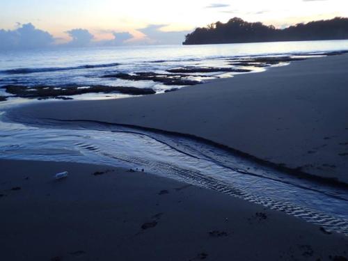 an aerial view of the beach at sunset at Mar Verde Lodge in Puerto Viejo
