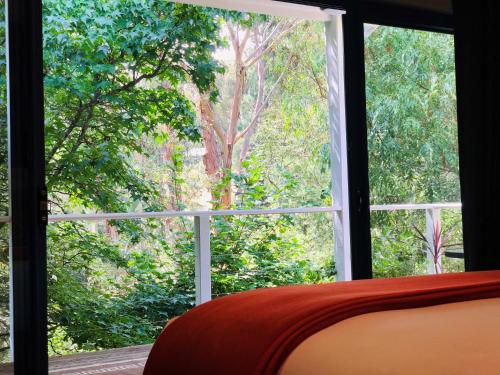 a bedroom window with a view of a tree at The Dudley Boutique Hotel in Daylesford