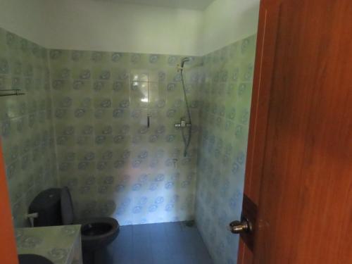 a bathroom with a shower with a toilet in it at Zum Deutschen in Bentota