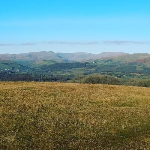 a field of grass with hills in the background at The Orchards in Kendal