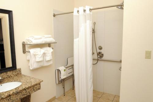 a bathroom with a shower and a sink at Holiday Inn Express & Suites Cambridge, an IHG Hotel in Cambridge