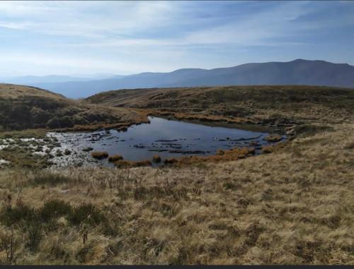 a small pond in the middle of a field at Sadyba Domashniy zatyshok in Pilipets