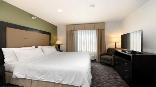 RiverwoodsにあるHoliday Inn Express & Suites Chicago-Deerfield Lincolnshire, an IHG Hotelのベッド1台、薄型テレビが備わるホテルルームです。