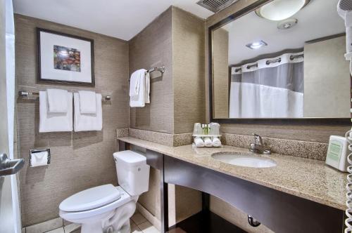 La salle de bains est pourvue de toilettes, d'un lavabo et d'un miroir. dans l'établissement Holiday Inn Express Detroit-Birmingham, an IHG Hotel, à Birmingham