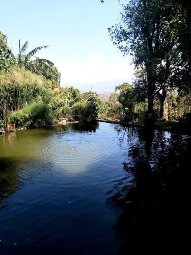 a river with trees on the side of it at Hotel Monte Campana Heredia in Birrí