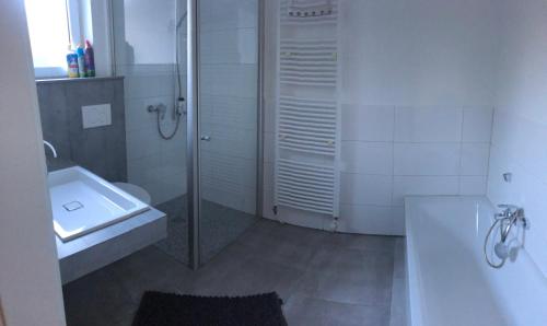 a bathroom with a shower and a sink at KS GbR Wohnungen in Mechernich