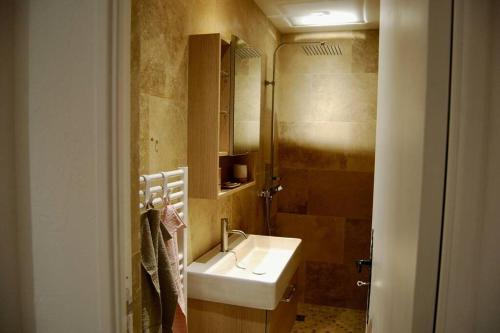 uma casa de banho com um lavatório e um chuveiro em RASCAS Gîte de Montagne em Briançonnet