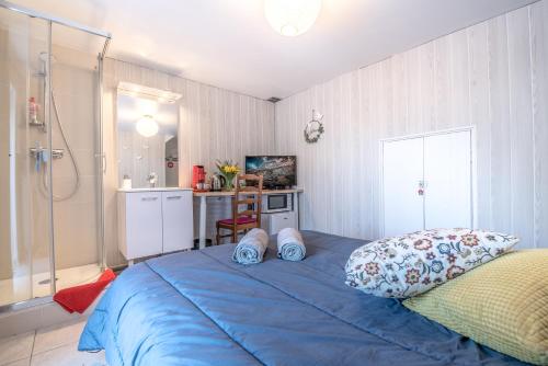 1 dormitorio con cama azul y ducha en La Savouè - Chambre en Francin