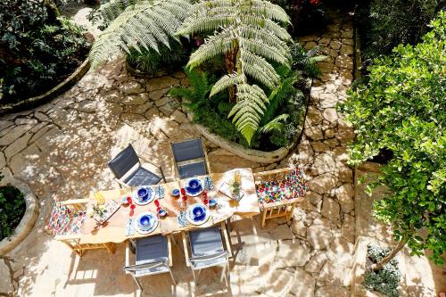 an overhead view of a table and chairs and plants at Casa Legado in Bogotá