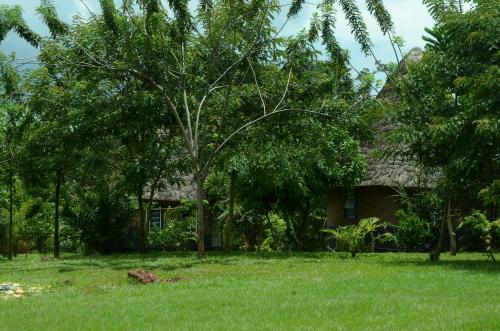 a house with a tree in front of a yard at Tusubira village in Jinja