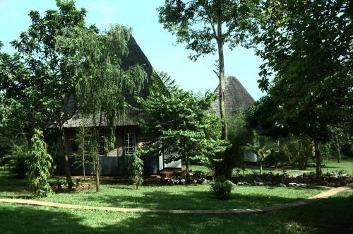 a house with a thatched roof in a yard at Tusubira village in Jinja