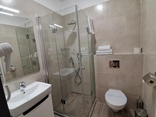 a bathroom with a shower and a toilet and a sink at Smart HTL in Körösladány
