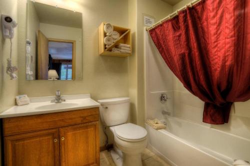 a bathroom with a toilet and a sink and a shower at Powder House Lodge in Keystone