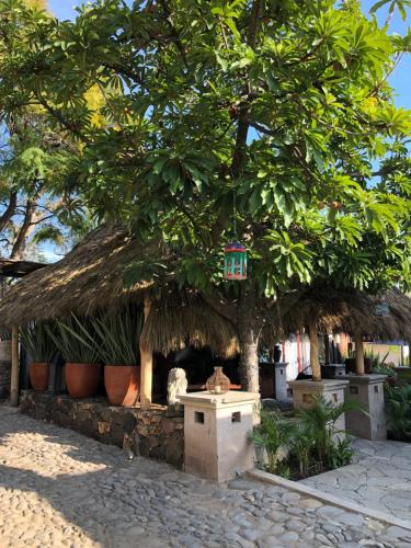 a hut with a tree with a bird house on it at Casa Miura Hotel Boutique in Ajijic