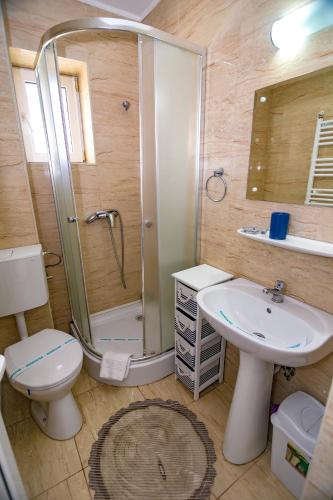 a bathroom with a shower and a toilet and a sink at Floare de Iris in Vama Veche