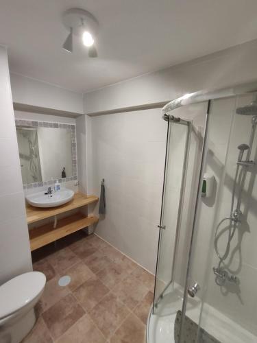 a bathroom with a toilet and a sink and a shower at Sweet Home in the West in Málaga