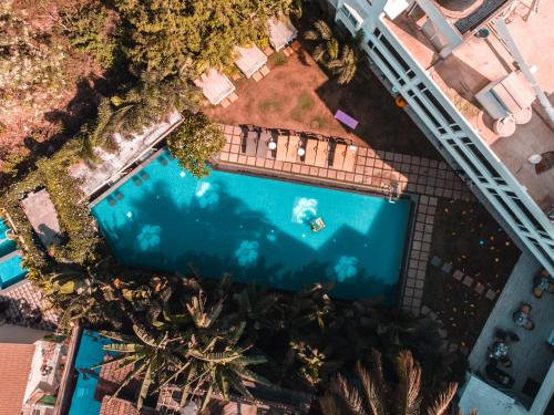 an overhead view of a pool with palm trees at The Park Baga River Goa in Baga