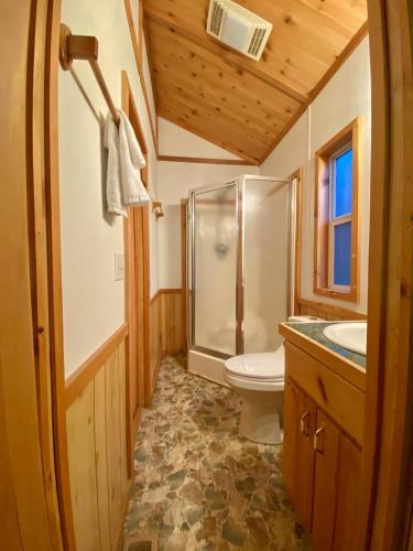 a bathroom with a shower and a toilet and a sink at Maggie Valley Cabin Rentals in Maggie Valley