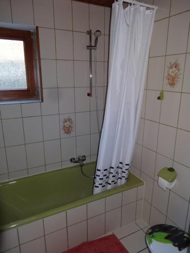 a bathroom with a green tub and a shower at Lembergblick in Wellendingen