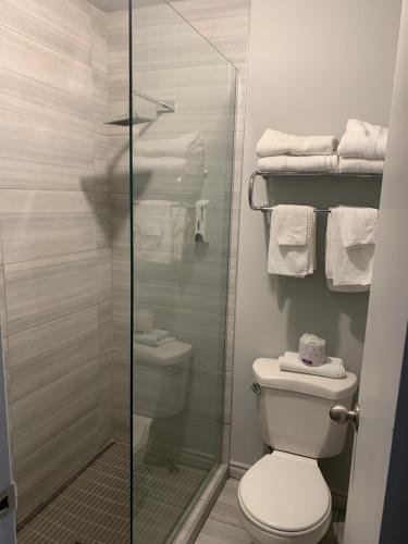 een badkamer met een toilet en een glazen douche bij Motel Le Rond Point in Metabetchouan