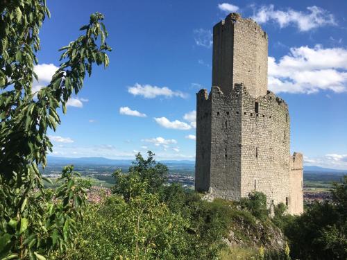 a tall castle on top of a hill at Au Nid de Cigogne in Zellenberg