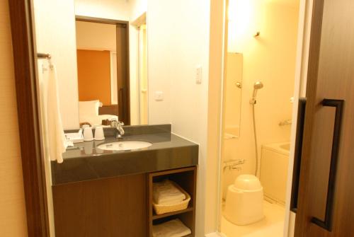 a bathroom with a sink and a toilet at AB Hotel Toyohashi in Toyohashi