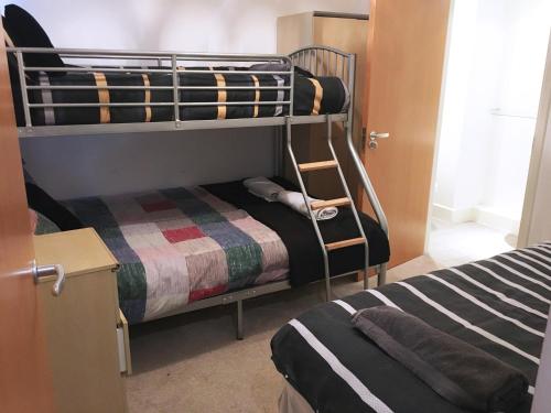 a bedroom with bunk beds with a dog sleeping on the bottom bunk at Discounted Short Term Let in Manchester
