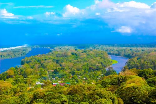 an aerial view of a river and trees at Hotel Tortuguero Beachfront in Tortuguero