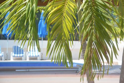 Fotografie z fotogalerie ubytování Acapulco Amor v Acapulcu
