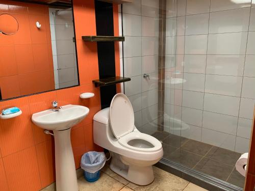 La salle de bains est pourvue de toilettes, d'un lavabo et d'une douche. dans l'établissement Apartamento Boutique cerca del C.C. TItan Plaza, à Bogotá