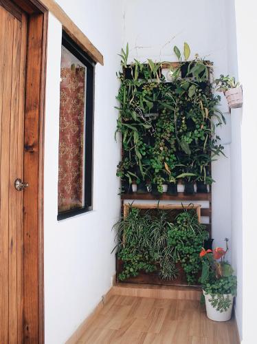 a room with a vertical garden with plants on a wall at Ganesha Hotel in San Cristóbal de Las Casas